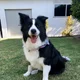 Bella.S
