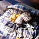 whippetman