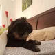 Ababy