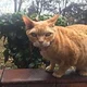 sally.pilkington1