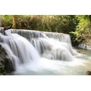 Michael profile picture