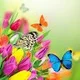 Deepthi T.
