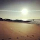 Aleera S.