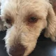 TedJackie