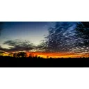 Chris profile picture