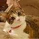 Annette