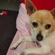 Julie