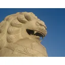 Rudy profile picture