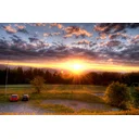 LVMH profile picture