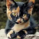 Johanna