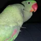 Sam