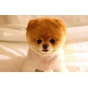 Danny and Pimmy profile picture