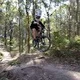 Lachlan