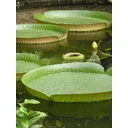 Faye C profile picture