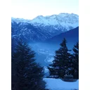 Phyllis profile picture