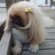 Lou