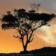 tanpanoramas