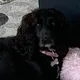 Caroline