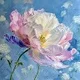 JILL H.