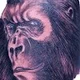 jono1961