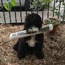 Amanda L. profile picture