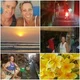 Carolyn B.