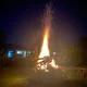 Shane. R