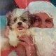 Poppits Mummy