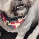 Lee