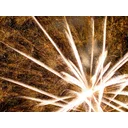 Kerrie profile picture