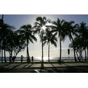 Yvonne profile picture