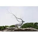 dijohnhill profile picture