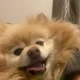 Lee