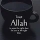 Muhammad Fahad A.