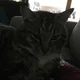 Tim