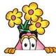 cazanne