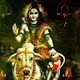 Vinisha R.