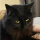 Shelley Neilon