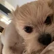 Andy