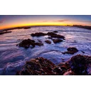 Peter profile picture