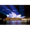 Peter D profile picture