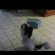 kathleenmurphy121