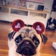 Milsy