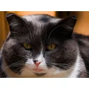 ABJV profile picture