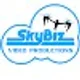 Skybiz V.