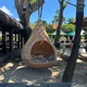 AndreaR