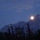 Chandradeep C.