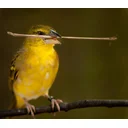 Bob W. profile picture