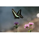 Barbara Konkolowicz profile picture