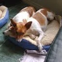 Lucky D. profile picture